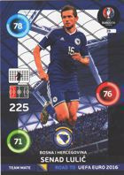 Senad Lulić - Bośnia i Hercegowina (nr 39 - Team Mate)