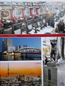Igrzyska XXXII Olimpiady Tokio 2020 (Słowacja)