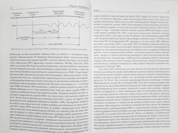 Struktura czasowa procesów informacyjnych w wybranych sportach walki