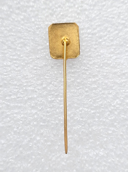 Odznaka Saad EC Sao Caetano (Brazylia, lakier)