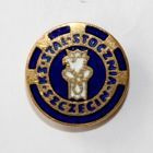 Odznaka KS Stal Stocznia Szczecin (PRL, emalia pozłacana)