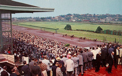 Pocztówka Tor wyścigów konnych w Suffolk Downs (Wschodni Boston)