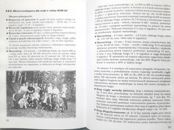 Bieganie dla zdrowia i zabawy