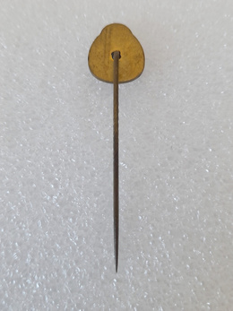 Odznaka 50 lat FK Elektrovojvodina Subotica (Serbia, epoksyd)