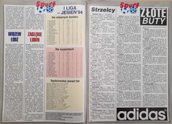 Skarb Kibica Jesień 1994 - liga, puchary, reprezentacja (Sport)
