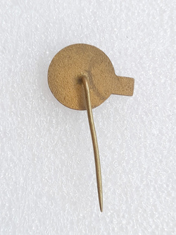 Odznaka LSD Jednota Prostejov (Czechy, epoksyd)