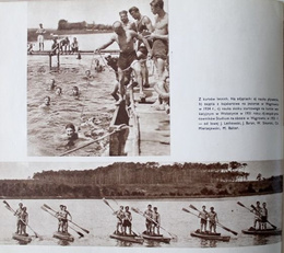 50 lat Wyższej Szkoły Wychowania Fizycznego w Poznaniu 1919-1969