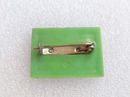 Odznaka Mistrzostwa Świata i Europy w hokeju na lodzie, Katowice 1976 (PRL, plastikowa) 