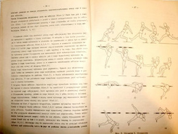 Skok wzwyż (Polski Związek Lekkiej Atletyki)