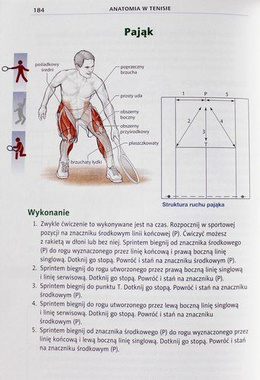 Anatomia w tenisie
