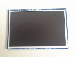 Magnes Atalanta Bergamo z herbem, prostokątny (produkt oficjalny)