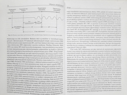 Struktura czasowa procesów informacyjnych w wybranych sportach walki
