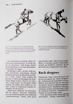 Jazda konna dla początkujących