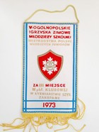 Proporczyk V Ogólnopolskie Igrzyska Zimowe Młodzieży Szkolnej - Łyżwiarstwo szybkie (1973)