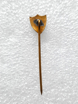 Odznaka Fluminense FC Rio de Janeiro (Brazylia, emalia)