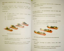 Fitness nowoczesne formy gimnastyki. Podstawy teoretyczne
