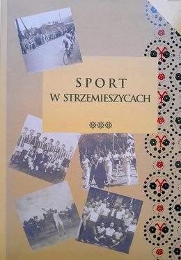 Sport w Strzemieszycach