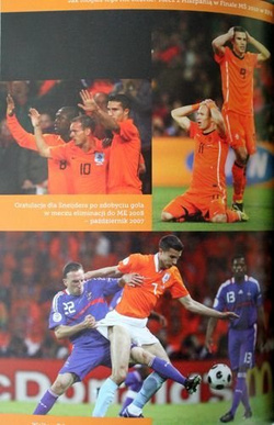 Robin van Persie. Biografia