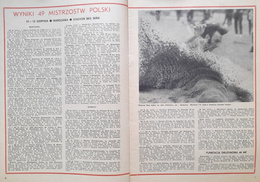 Miesięcznik Lekkoatletyka 1973 (8 numerów)