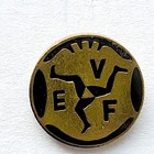 EV Füssen hokej na lodzie (polewa epoksydowa)