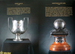 Pucharowy Rok 2015. Ferencvaros Budapeszt