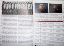 Biegiem przez historię sportu powiatu gliwickiego