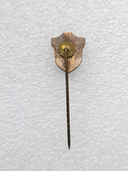 Odznaka Clube de Tenis Dom Pedro II Juiz de Fora (Brazylia, emalia)