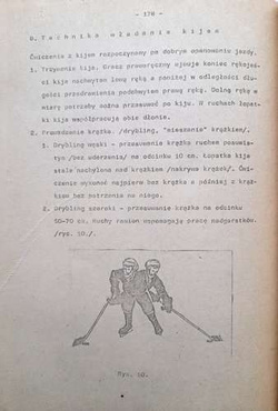 Sporty zimowe. Część I: Łyżwiarstwo