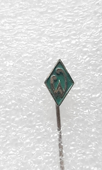 Odznaka Werder Brema herb, mała (lakier)