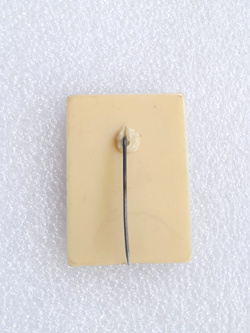 Odznaka Mecz Polska - Anglia, eliminacje Mistrzostw Świata 6.6.1973 (PRL, plastikowa) 