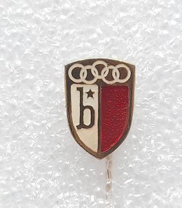 Odznaka Bośnia Sarajewo (epoksyd)