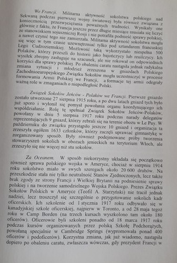 Czołem ojczyźnie, szponem wrogowi. Historia sokolstwa polskiego 1867-1939