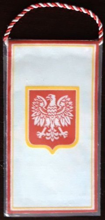 Proporczyk Wydział Kultury Fizycznej i Turystyki Urzędu Miejskiego w Opolu