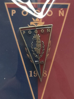 Odznaka Pogoń Szczecin herb lakierowana (produkt oficjalny)