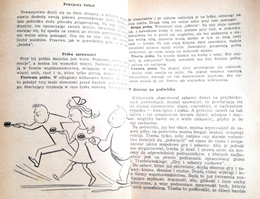 Sport w rodzinie (TKKF)