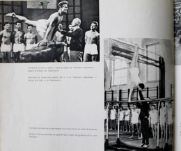 50 lat Wyższej Szkoły Wychowania Fizycznego w Poznaniu 1919-1969