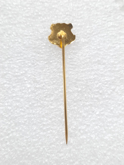 Odznaka Santa Cruz FC Recife, mała (Brazylia, lakier)