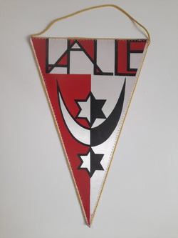 Proporczyk HSG Padagogik Halle, duży (NRD)