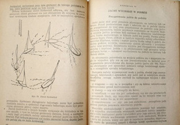 Sport żeglarski (1953)