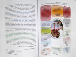 Ringo w Polsce i na świecie. 60 lat rozwoju gry sportowej dla każdego