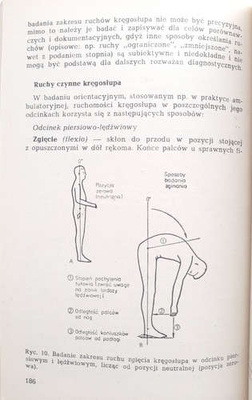 Medycyna sportowa w praktyce (wydanie II)