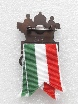 Odznaka Reprezentacja Węgier Zimowe Igrzyska Olimpijskie Nagano 1998 (sygnowana numerem)