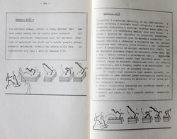Programowane nauczanie skoku zawrotnego