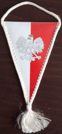 Proporczyk TS Wisła Kraków Piłka Nożna SSA