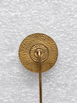 Odznaka FK Maldost Rogatica herb (Bośnia, epoksyd, sygnowana)