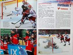 Dziesiąte święto hokeja. 79. Mistrzostwa Świata 2015