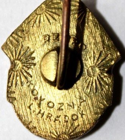 Odznaka Raba ETO Győr (polewa epoksydowa; z sygnaturą)