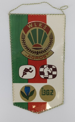 Proporczyk WLKS Agros Chełm