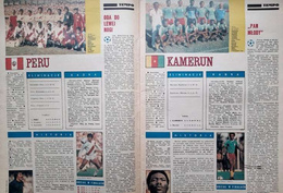 Skarb Kibica Mistrzostwa Świata Hiszpania 1982 (Tempo)