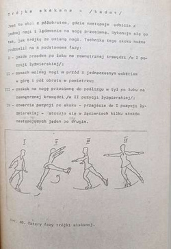 Sporty zimowe. Część I: Łyżwiarstwo